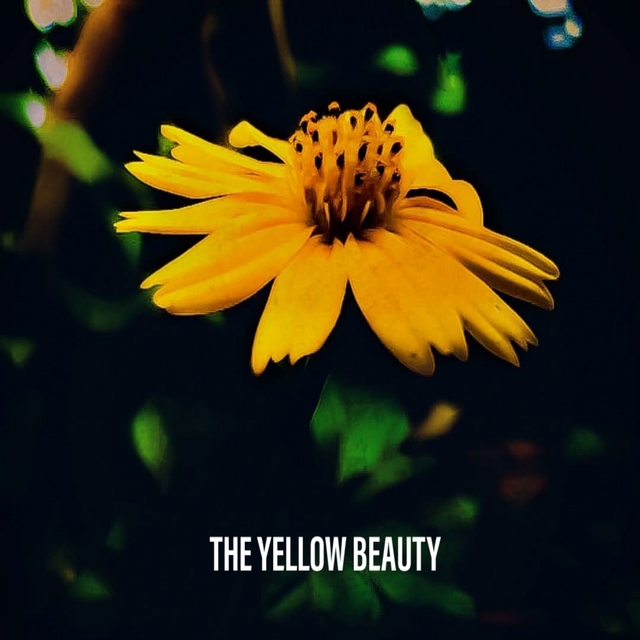 Couverture de The Yellow Beauty