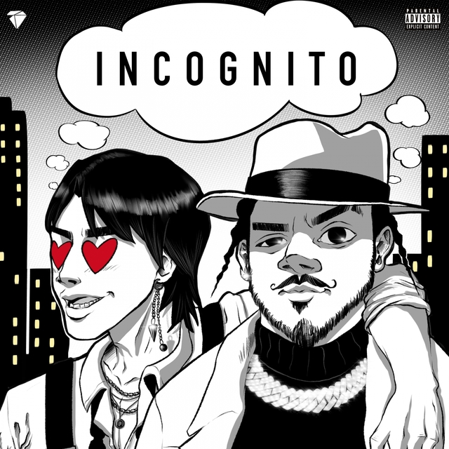 Couverture de INCOGNITO