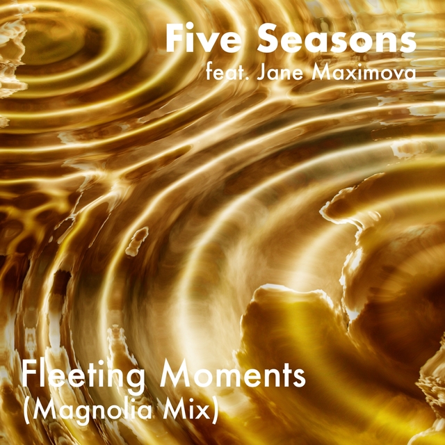 Couverture de Fleeting Moments