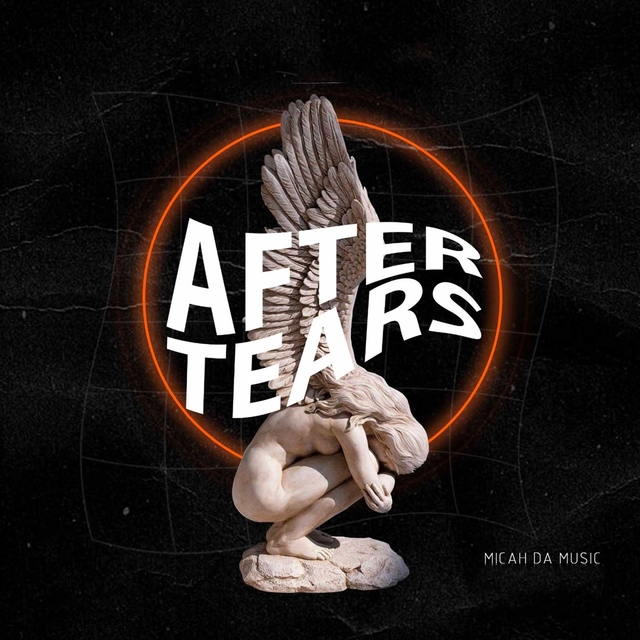 Couverture de After Tears