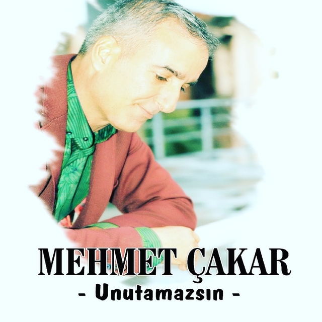 Couverture de Unutamazsın