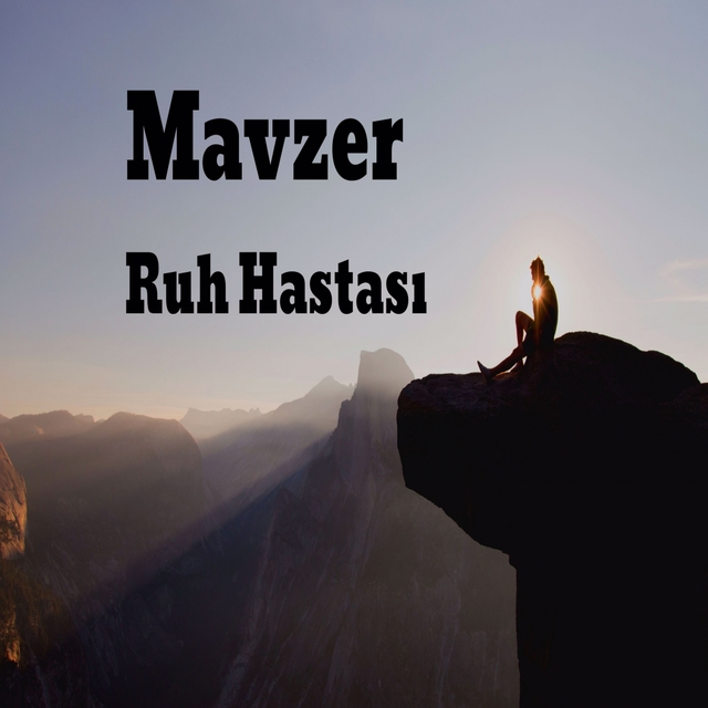 Couverture de Ruh Hastası