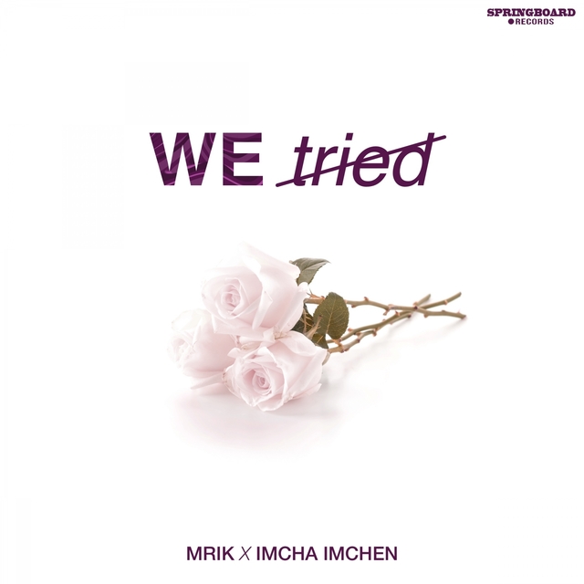 Couverture de We Tried