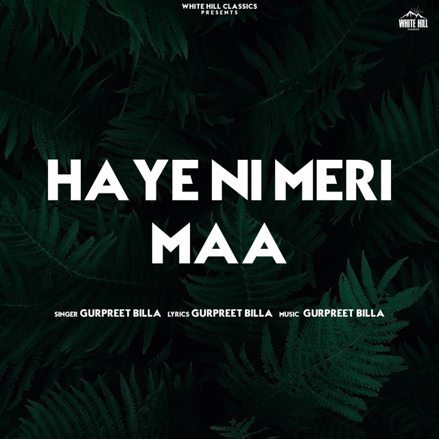 Couverture de Haye Ni Meri Maa