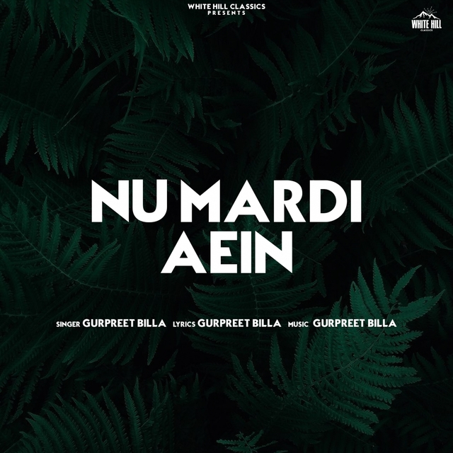 Couverture de Nu Mardi Aein