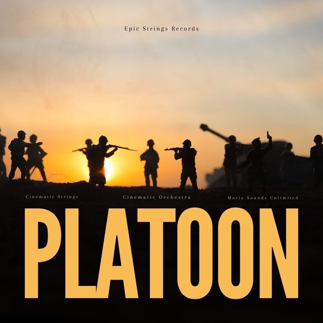 Couverture de Platoon