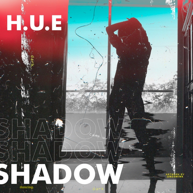 Couverture de Shadow