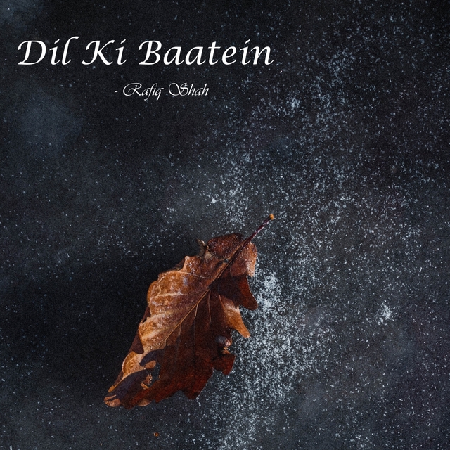 Couverture de Dil Ki Baatein