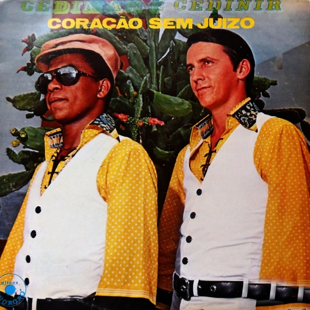 Couverture de Coração Sem Juizo