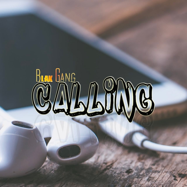 Couverture de Calling