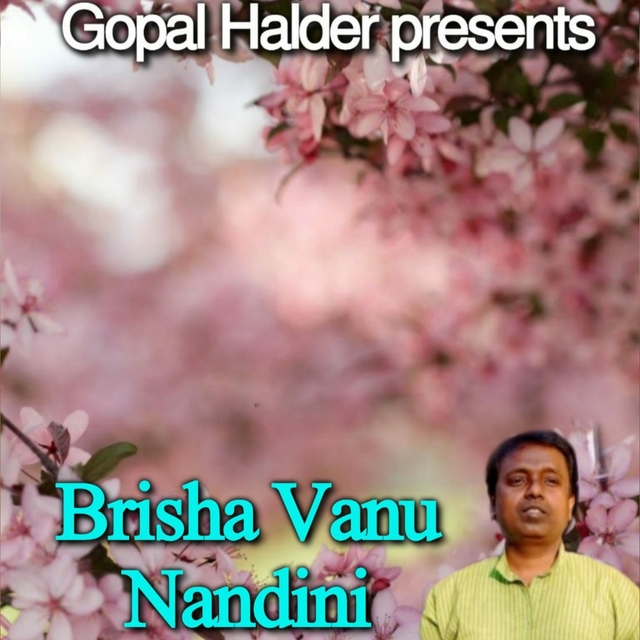 Couverture de Brisha Vanu Nandini