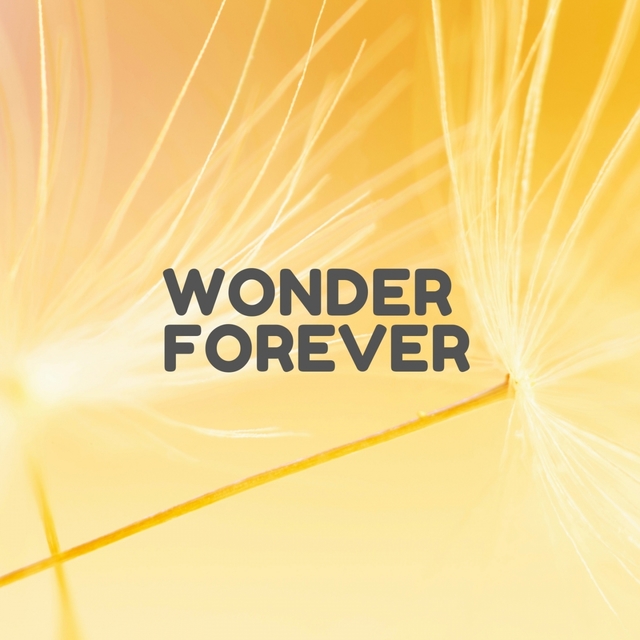 Wonder Forever