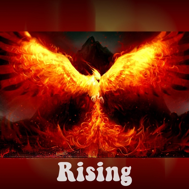 Couverture de Rising