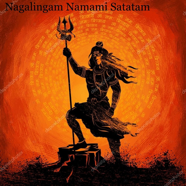 Couverture de Nagalingam Namami Satatam