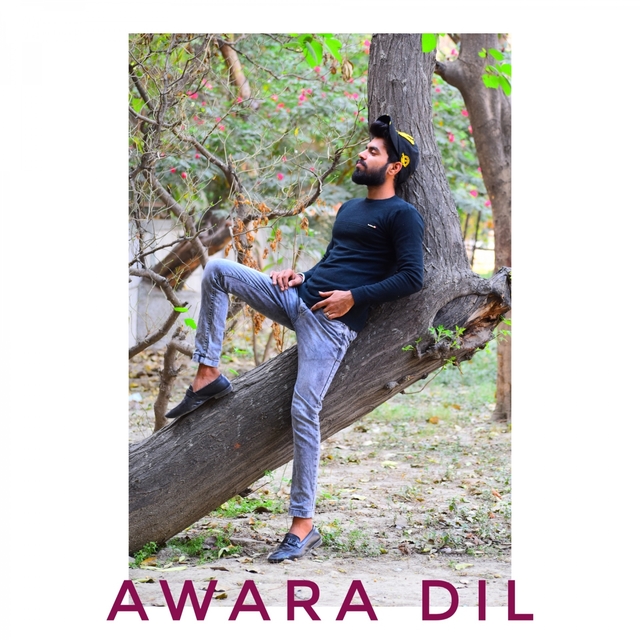 Couverture de Awara Dil