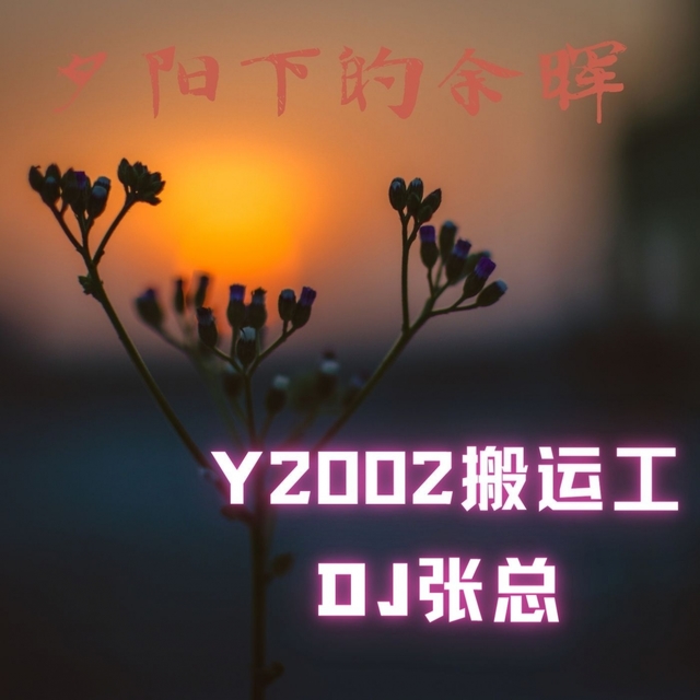 Couverture de 夕阳下的余晖