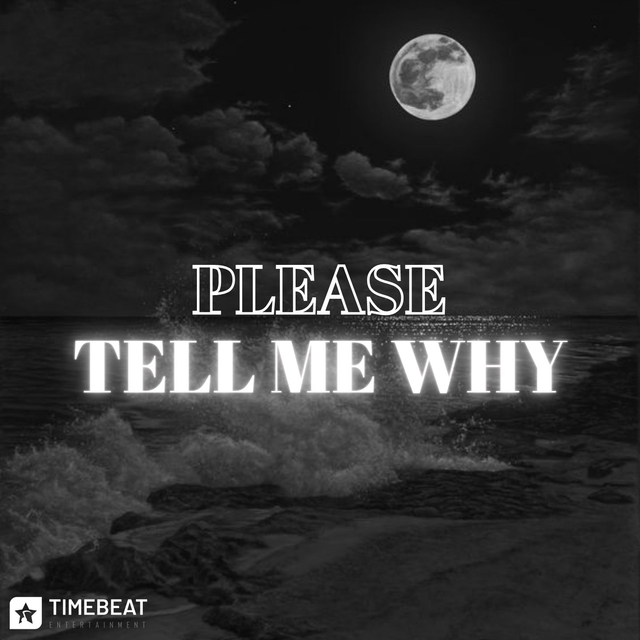 Couverture de Please Tell Me Why