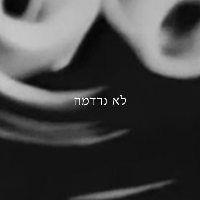 Couverture de לא נרדמה