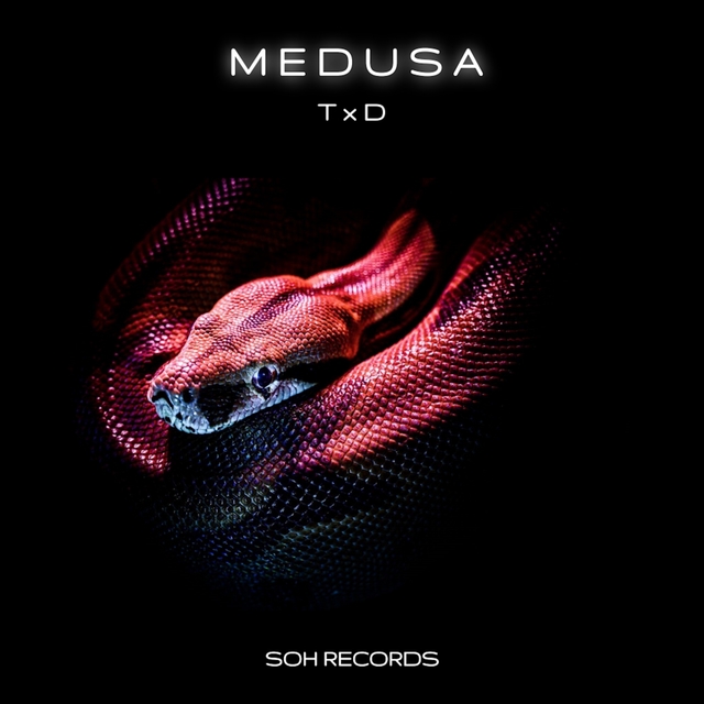 Couverture de Medusa