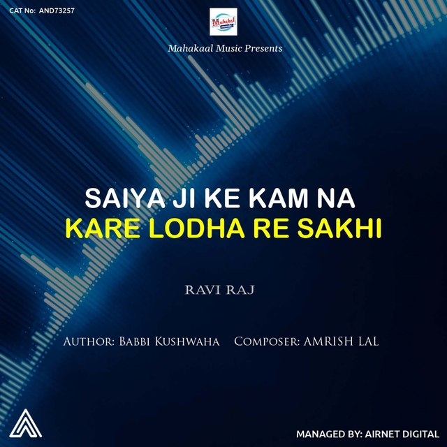 Couverture de Saiya Ji Ke Kam Na Kare Lodha Re Sakhi