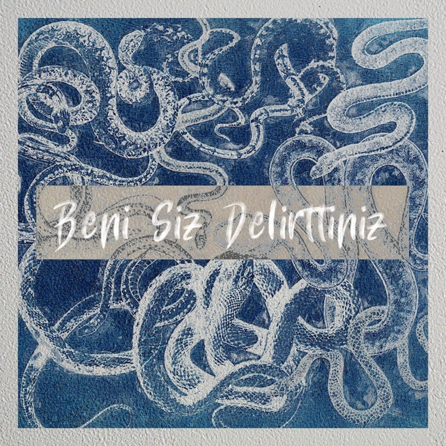 Couverture de Beni Siz Delirttiniz