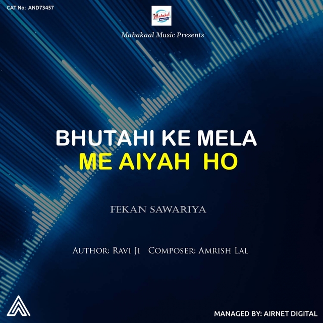 Couverture de Bhutahi Ke Mela Me Aiyah Ho