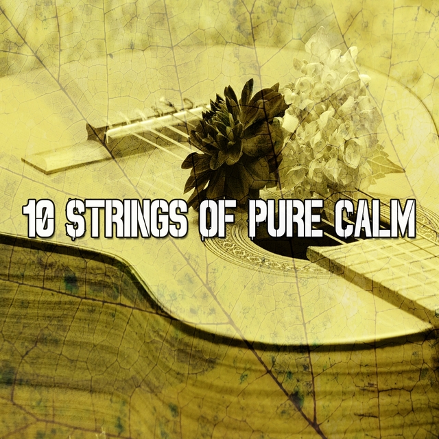 Couverture de 10 Strings of Pure Calm