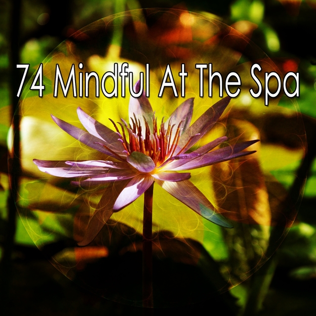 Couverture de 74 Mindful at the Spa