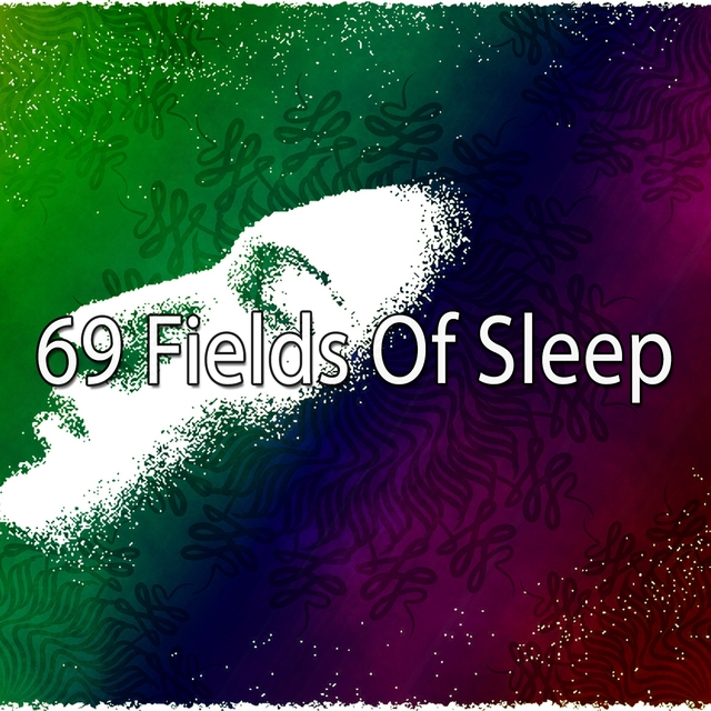 Couverture de 69 Fields of Sleep