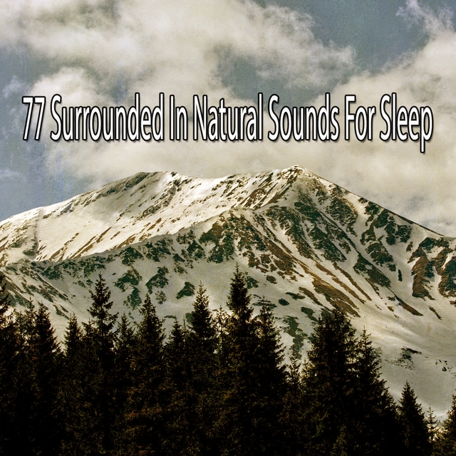 Couverture de 77 Surrounded in Natural Sounds for Sleep