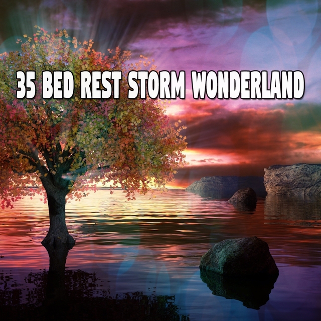 Couverture de 35 Bed Rest Storm Wonderland