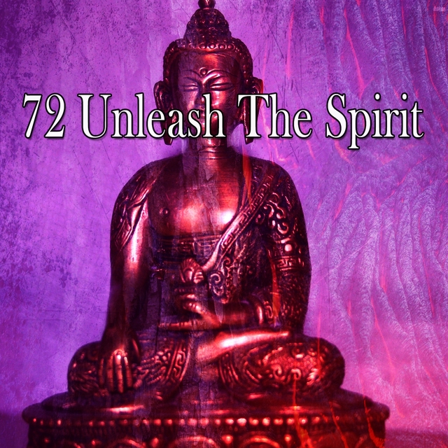 Couverture de 72 Unleash the Spirit