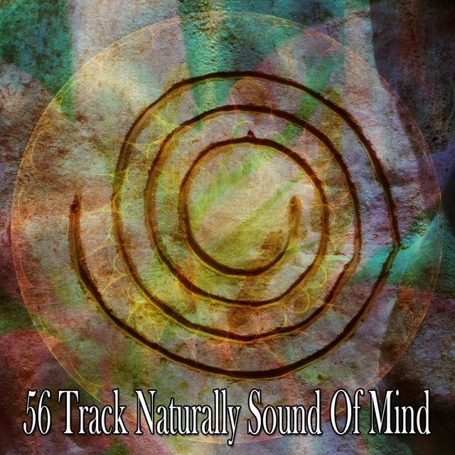 Couverture de 56 Track Naturally Sound of Mind