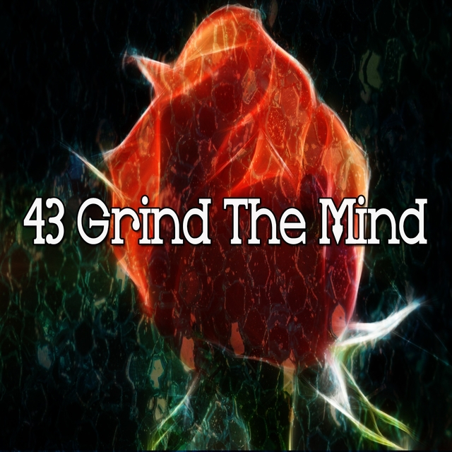 Couverture de 43 Grind the Mind