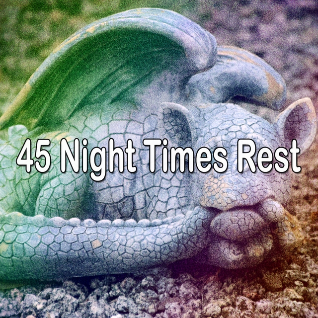 45 Night Times Rest