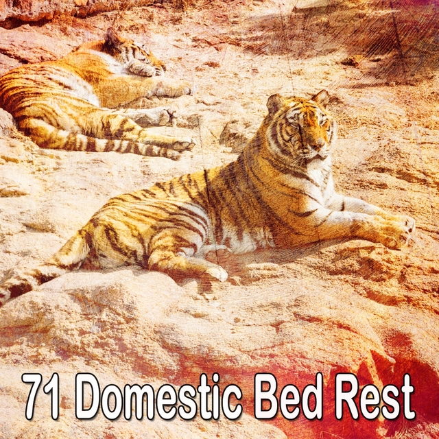 Couverture de 71 Domestic Bed Rest