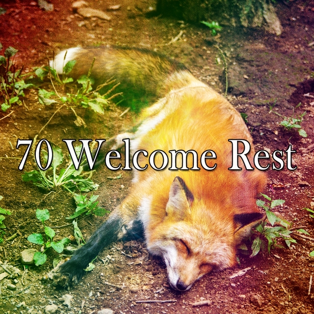 70 Welcome Rest