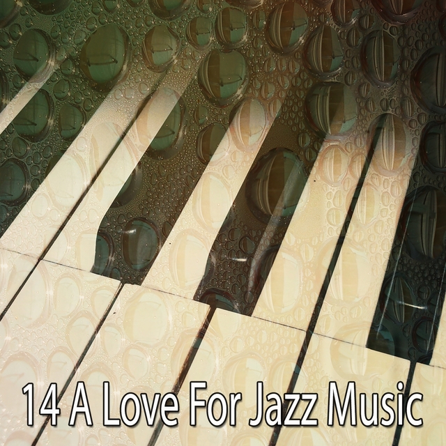 Couverture de 14 A Love for Jazz Music