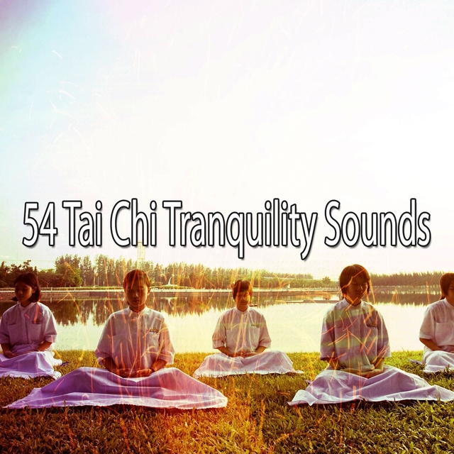 Couverture de 54 Tai Chi Tranquility Sounds