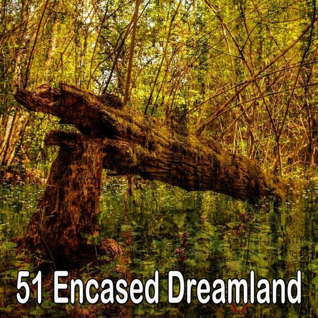 Couverture de 51 Encased Dreamland