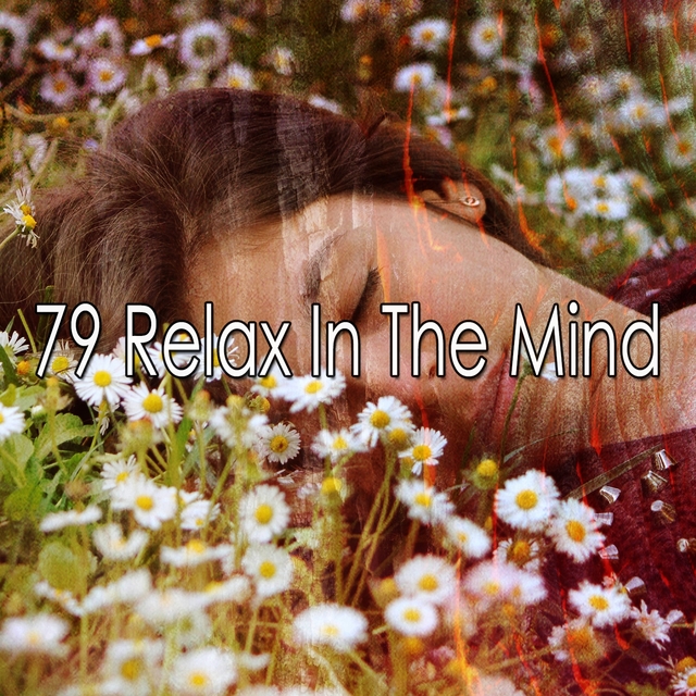 Couverture de 79 Relax in the Mind