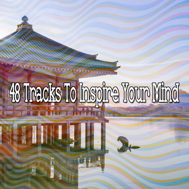 Couverture de 48 Tracks to Inspire Your Mind