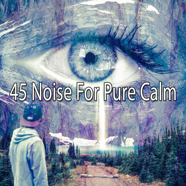 Couverture de 45 Noise for Pure Calm