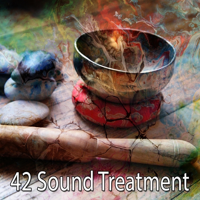 Couverture de 42 Sound Treatment