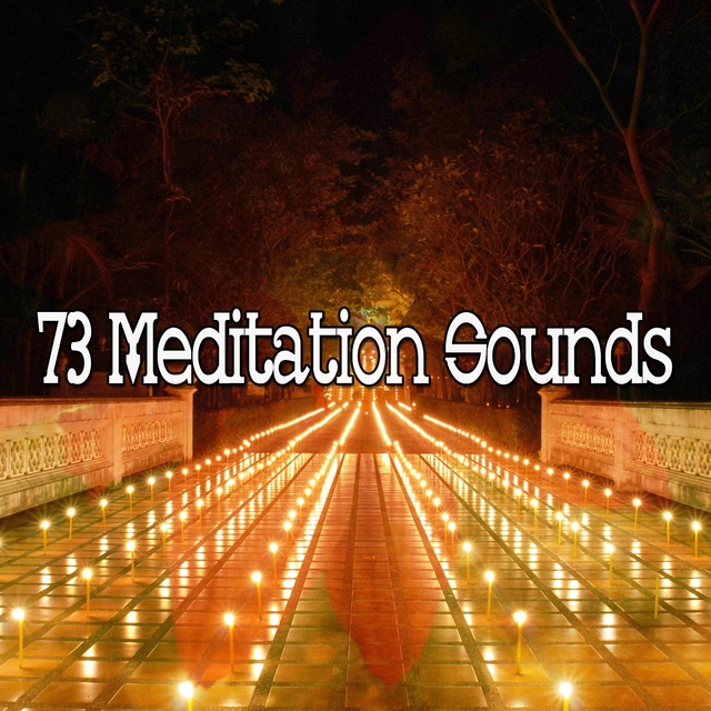 Couverture de 73 Meditation Sounds