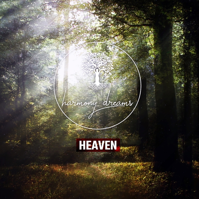 Couverture de Heaven