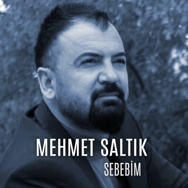 Sebebim