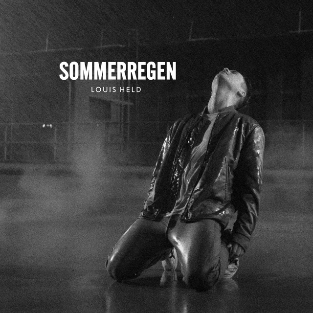 Couverture de Sommerregen