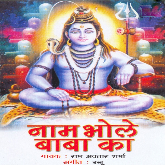 Couverture de Naam Bhole Baba Ka