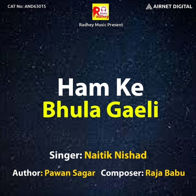 Couverture de Ham Ke Bhula Gaeli